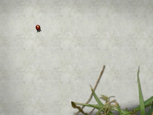 Ladybug (light)